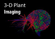 3D Plant Imaging