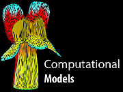 Computational Models